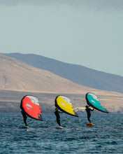 Load image into Gallery viewer, FLY V1 WING