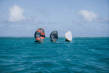 Load image into Gallery viewer, FUSION V2 ULTRA X - DOUBLE SURFACE WING