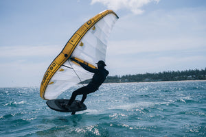 FUSION V2 ULTRA X - DOUBLE SURFACE WING